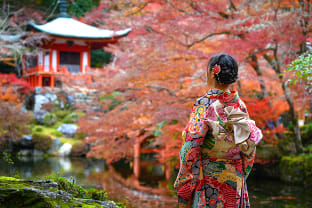 일본 가을 단풍