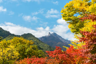 설악산 단풍