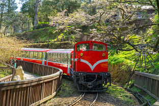 아리산 산악열차