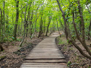 한라산 등산로