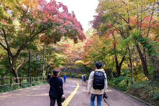 서울 남산