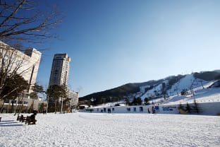 휘닉스 평창 최고층 스카이콘도