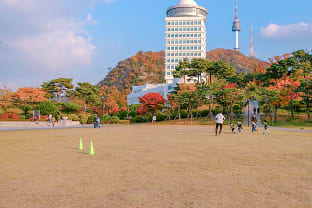 남산 공원 